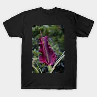 Dragon Lily T-Shirt